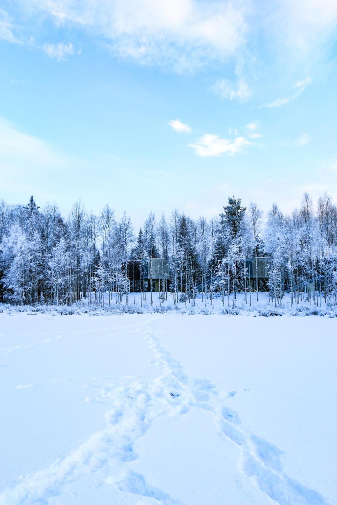 Silver Birch Resort Lapland โรวานิเอมิ ภายนอก รูปภาพ