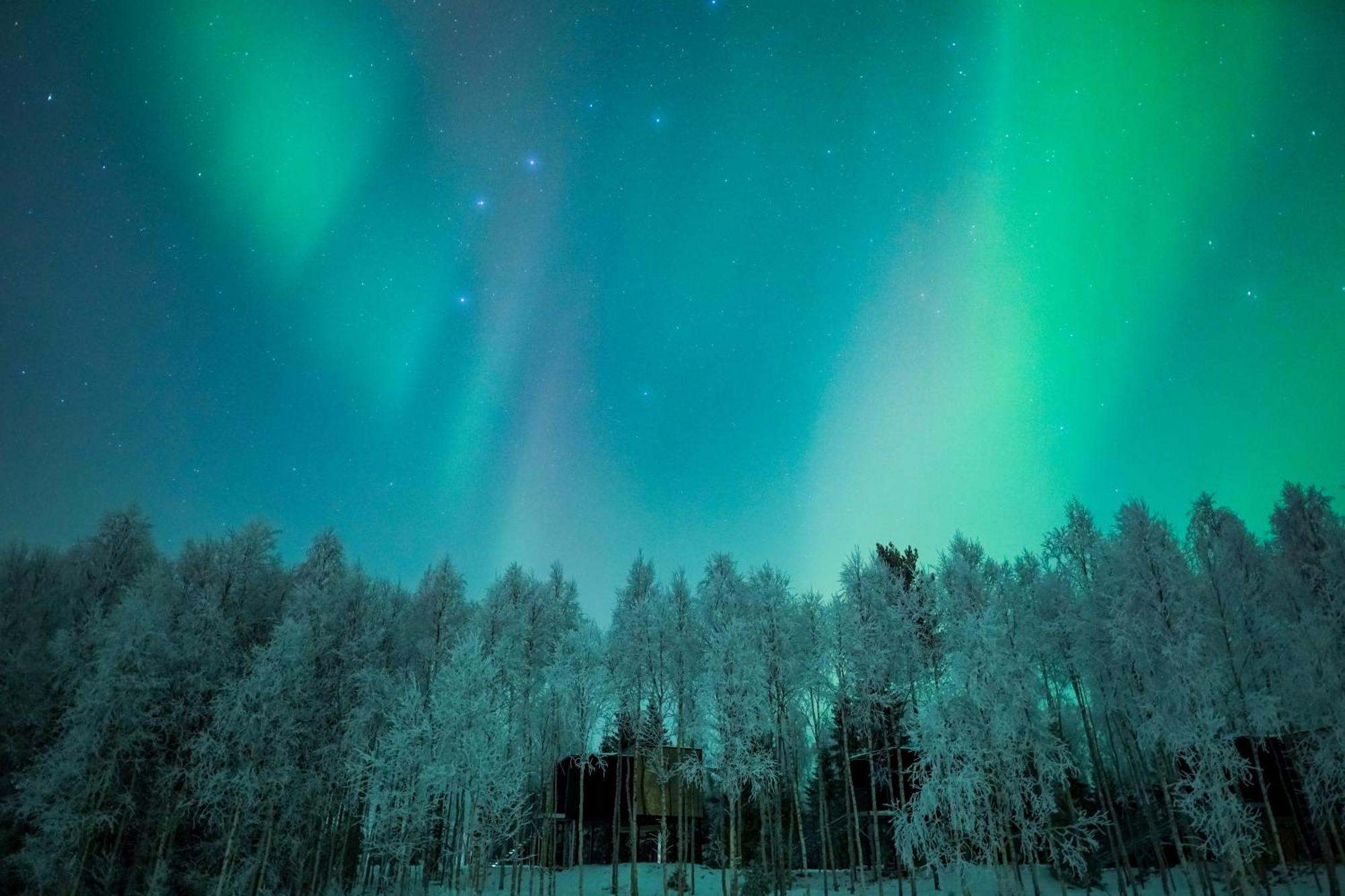Silver Birch Resort Lapland โรวานิเอมิ ภายนอก รูปภาพ